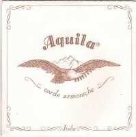 Aquila - Nylgut umsponnen D / DE