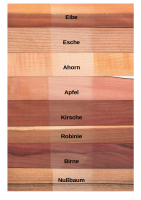 Alumnus Renaissance Lute